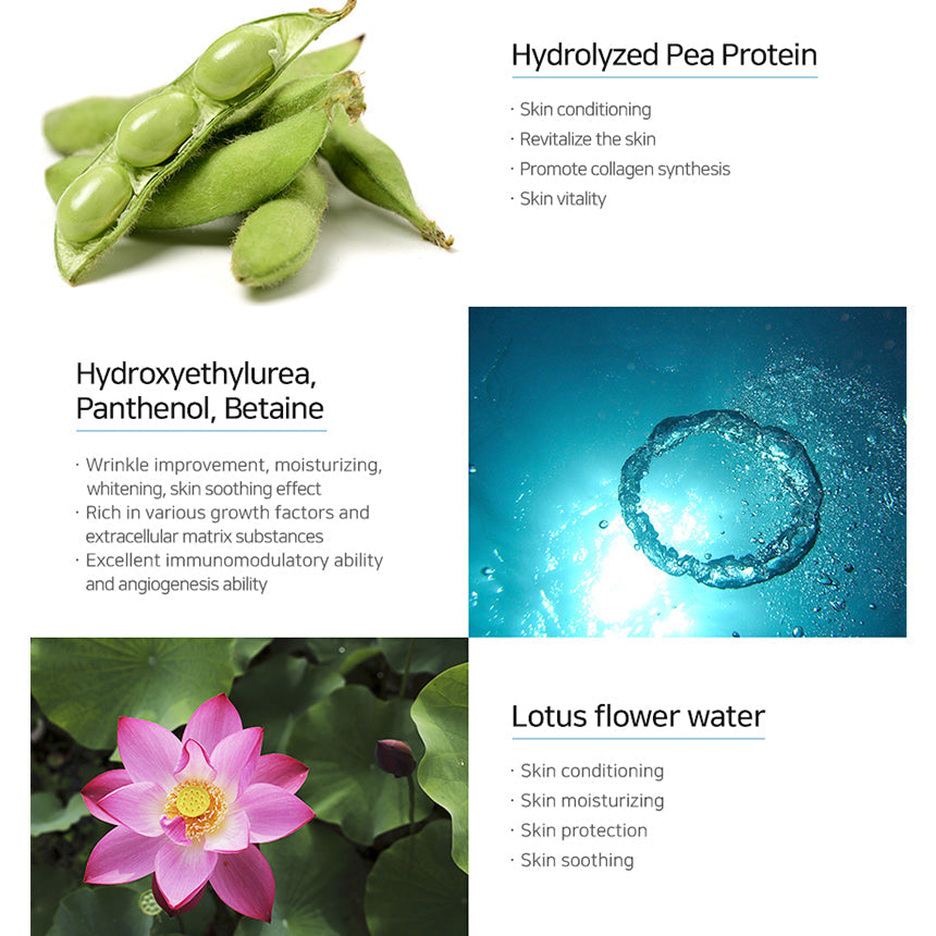 Matrigen Hydra Cellular Ampoule