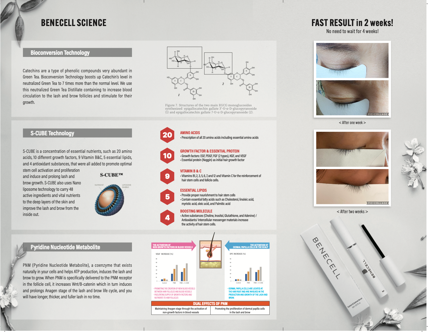 Benecell Eyelash & Eyebrow Serum